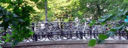 utrecht-408639_1280.jpg